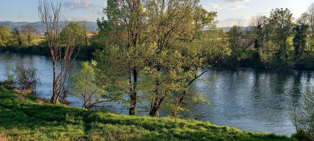 Vrbas