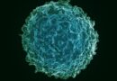 Virusi stari milionima godina pomažu u borbi protiv raka, kažu naučnici