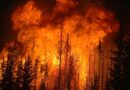Ekstremni požari sada su uobičajeni zbog klimatskih promjena