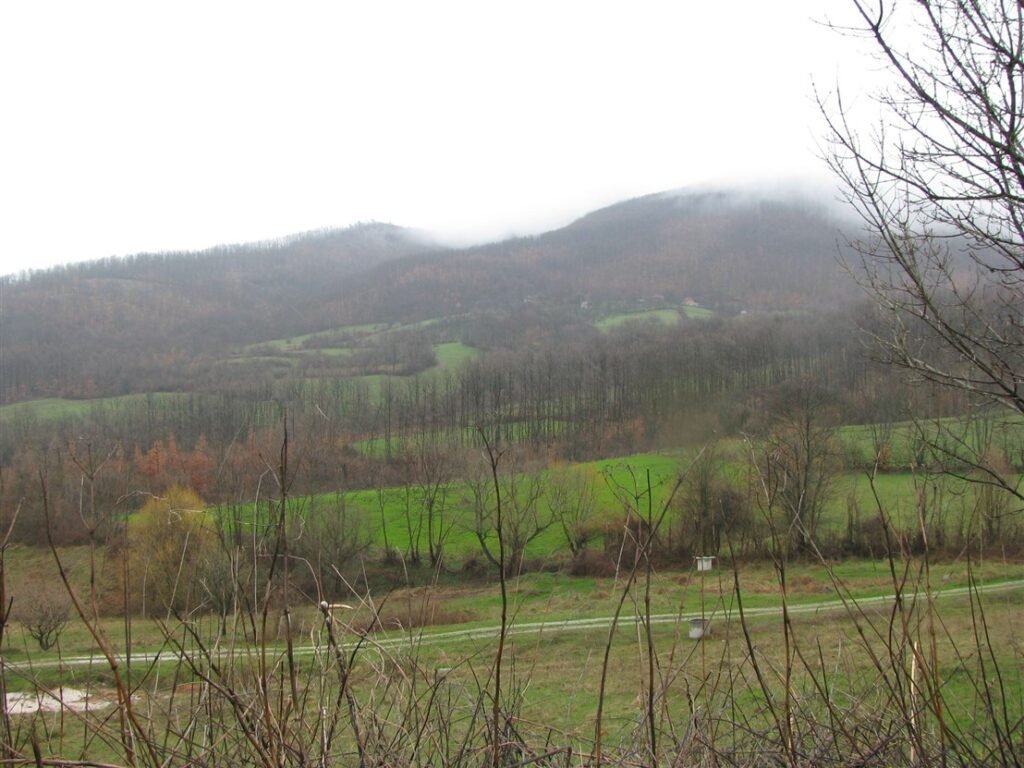 kotlenik