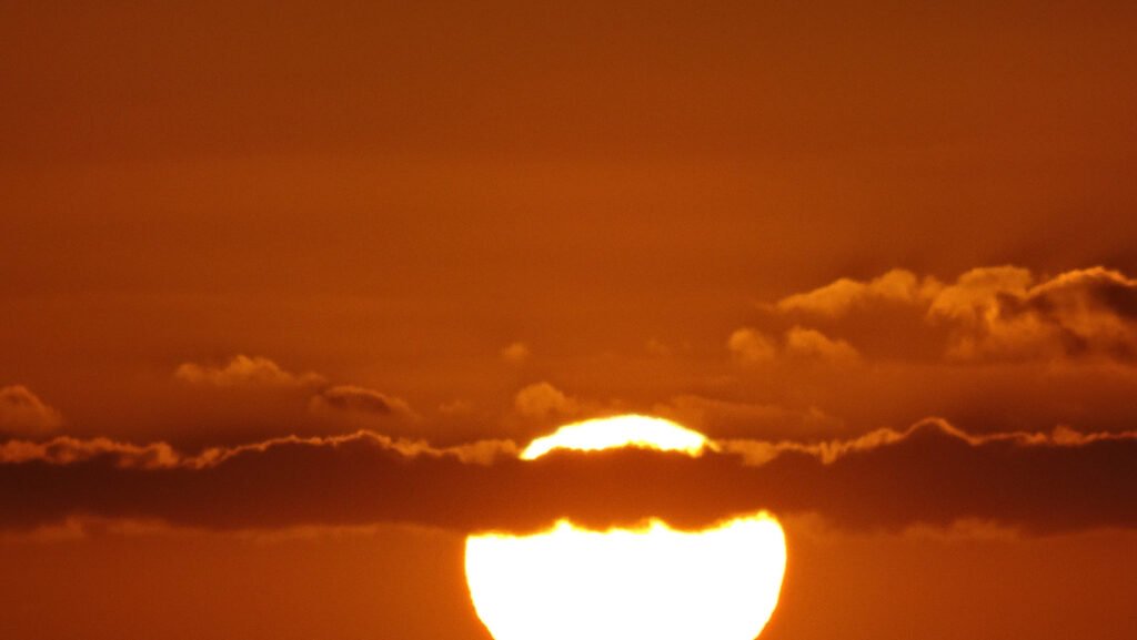 sunce
