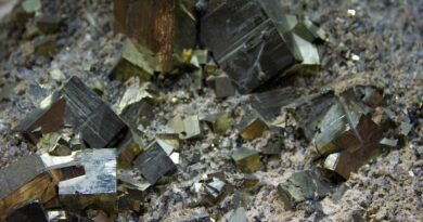 close up of pieces of minerals in the ground