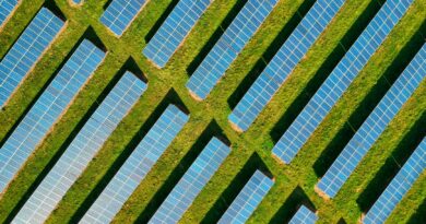 solar panels on a green field