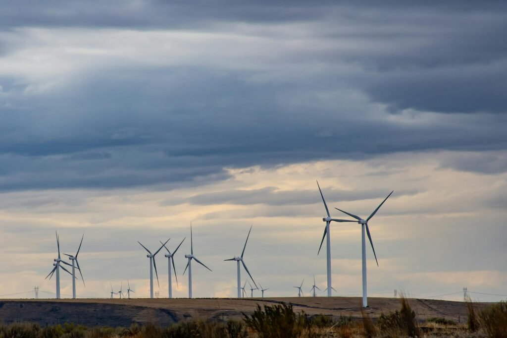 windmills
