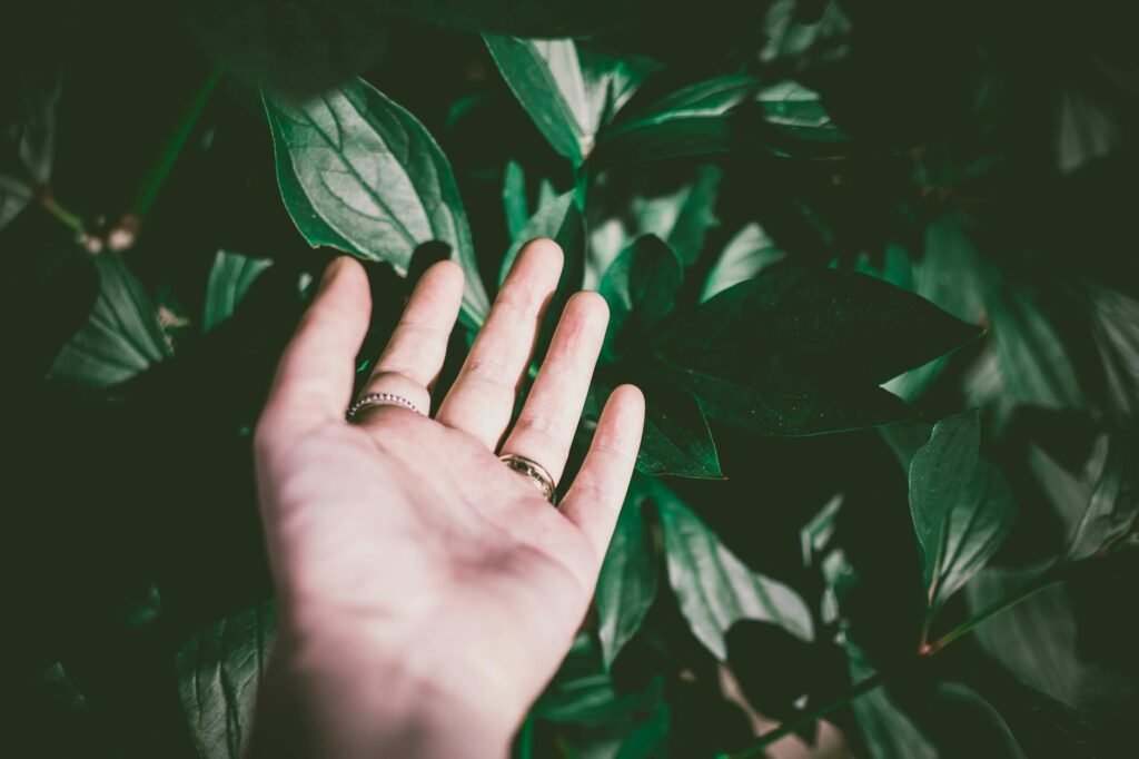 person wearing silver colored ring touching green leaf