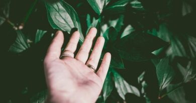 person wearing silver colored ring touching green leaf