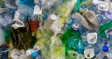 close up photo of plastic bottles