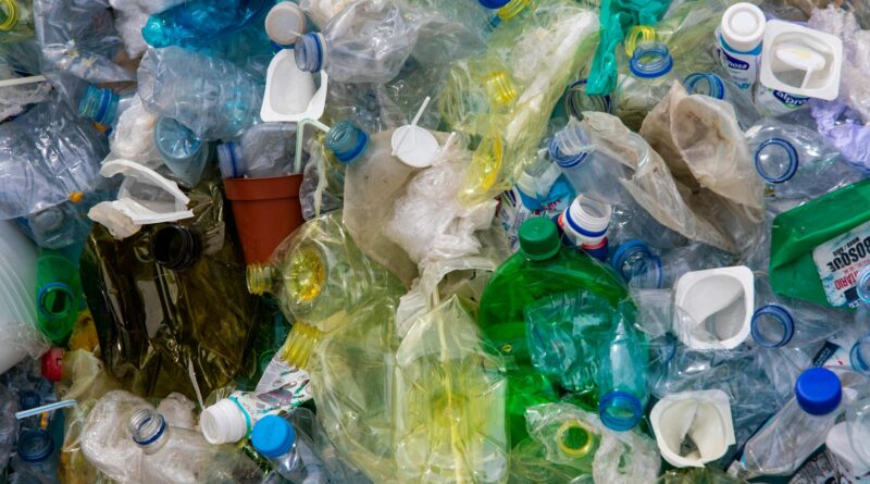 close up photo of plastic bottles