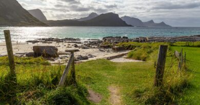 scenic coastal landscape in nordland norway