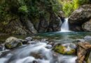 water falls in the middle of the forest