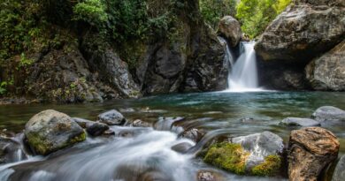 water falls in the middle of the forest