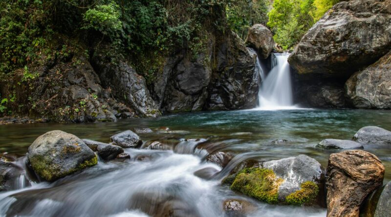 water falls in the middle of the forest