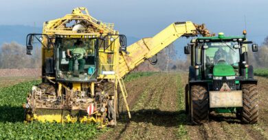 harvester passing crops into trailer