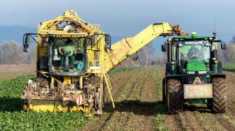 harvester passing crops into trailer