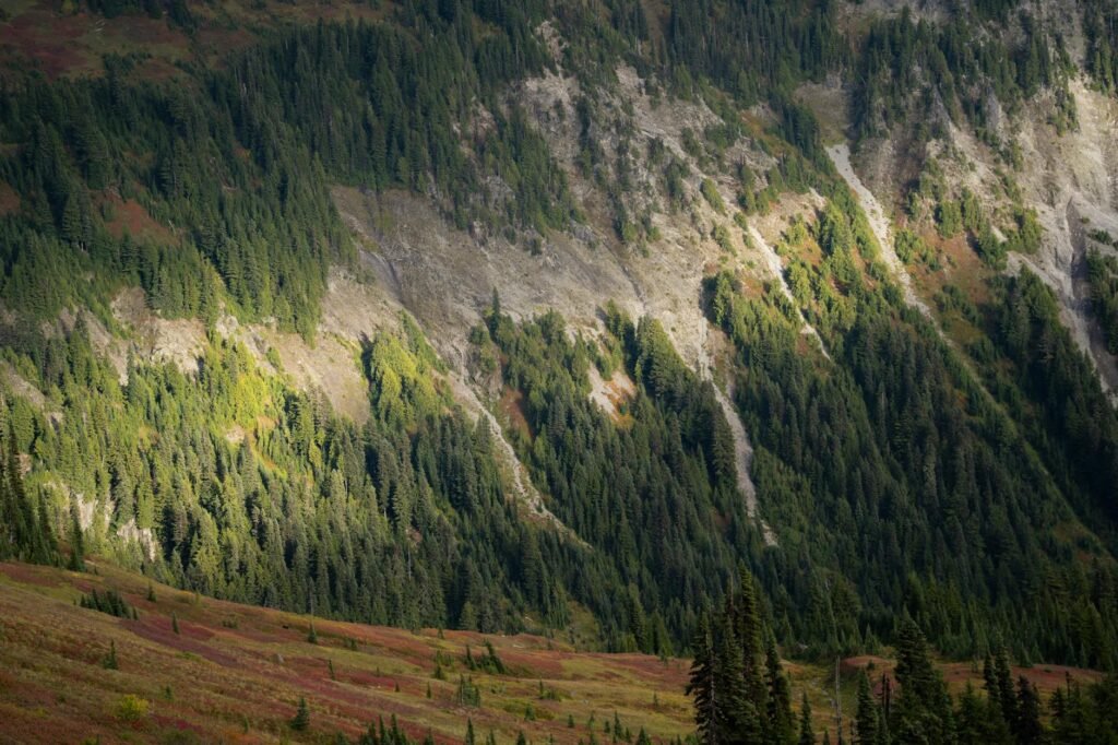 serene mountain landscape in washington state