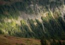 serene mountain landscape in washington state