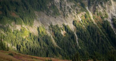 serene mountain landscape in washington state