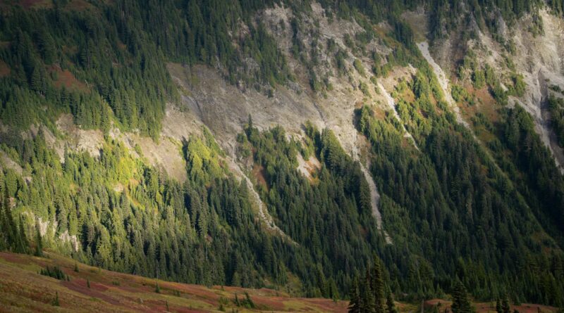 serene mountain landscape in washington state