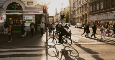 busy street scene in budapest during autumn