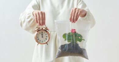 woman holding a clock and a plant in plastic bag