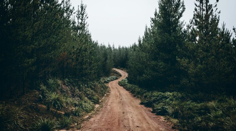 dirt road