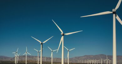 landscape of a wind farm