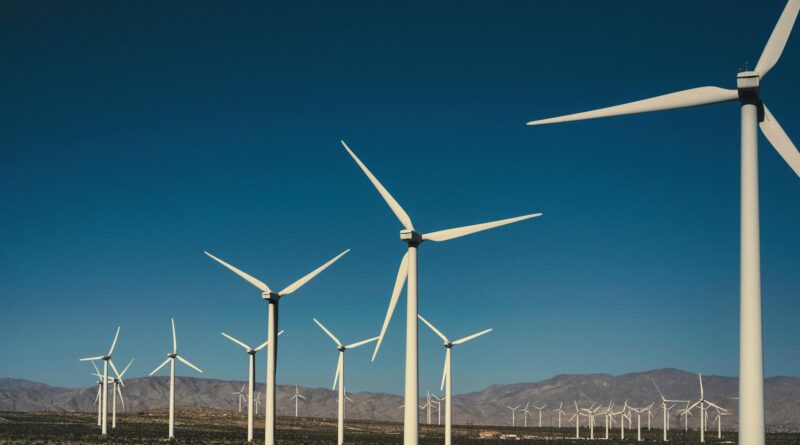 landscape of a wind farm