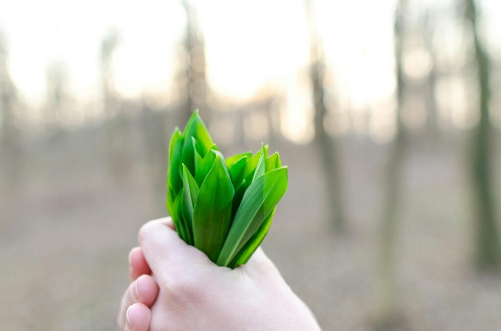 green leaves