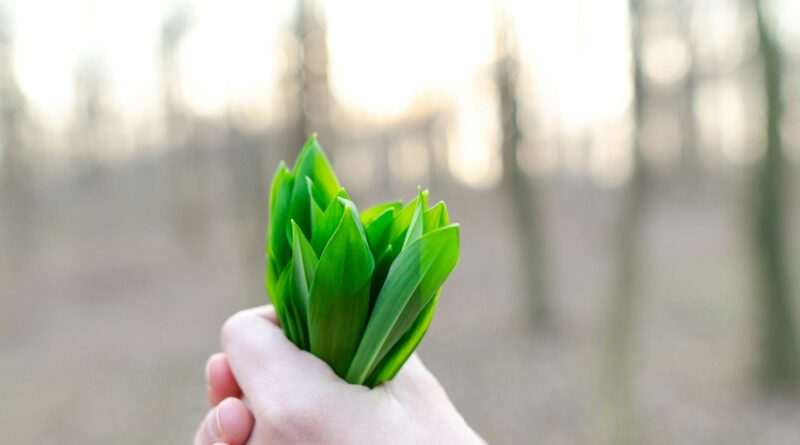 green leaves