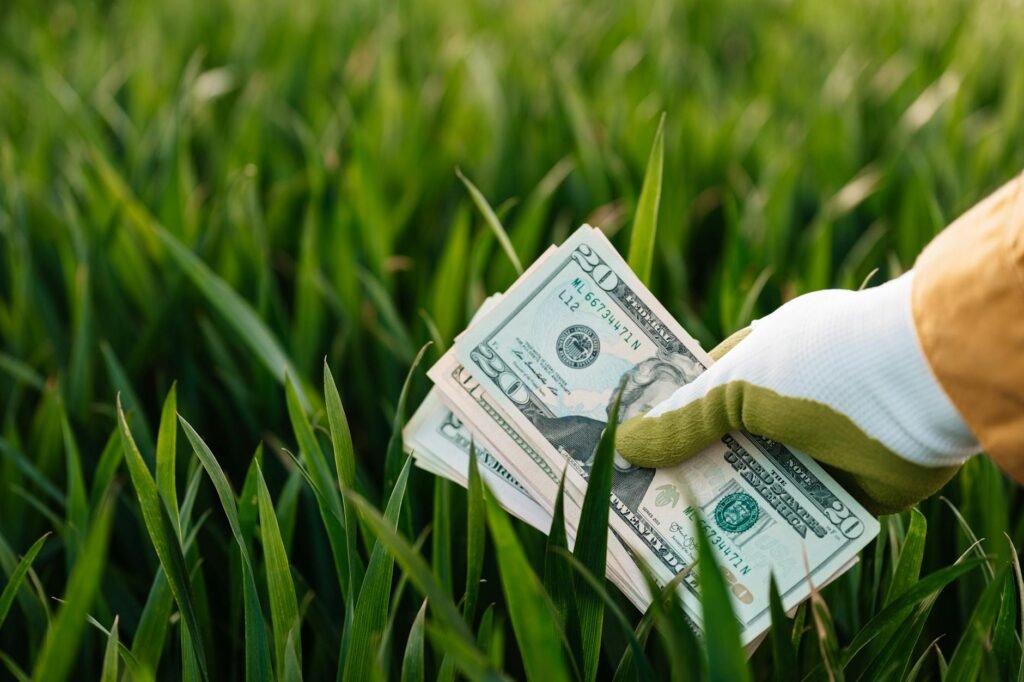 crop unrecognizable gardener showing pile of american dollars above grass