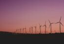 photo of wind turbines lot