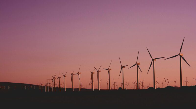 photo of wind turbines lot