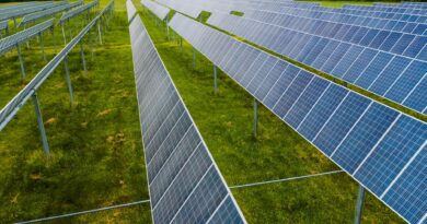 solar modules on green field in photovoltaic station