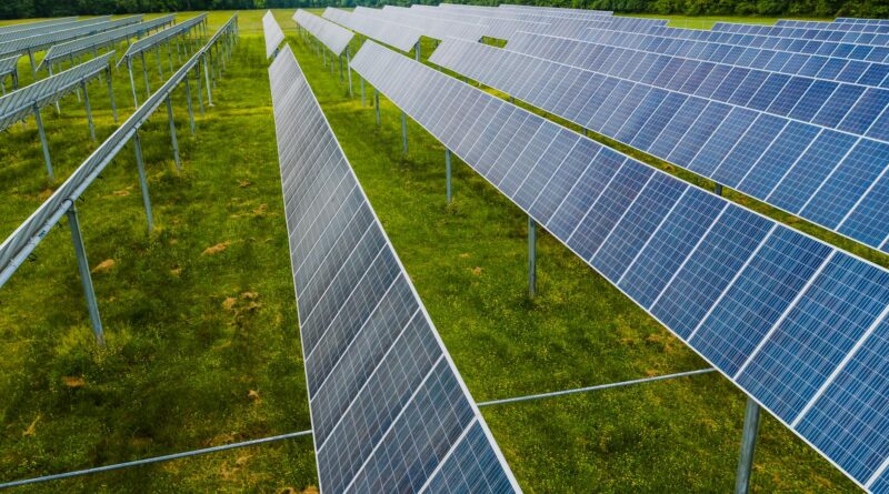 solar modules on green field in photovoltaic station