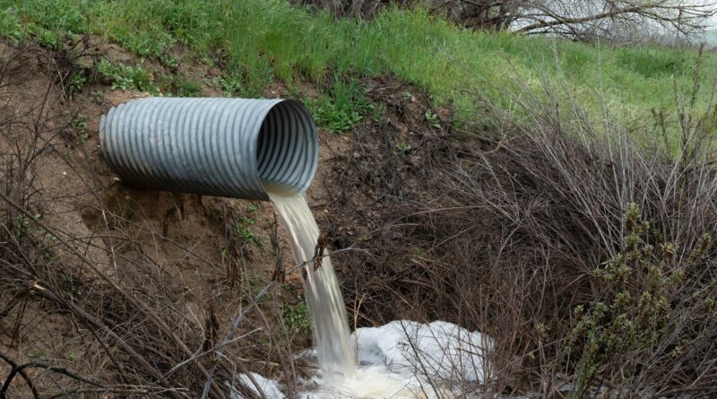pipe with sewage
