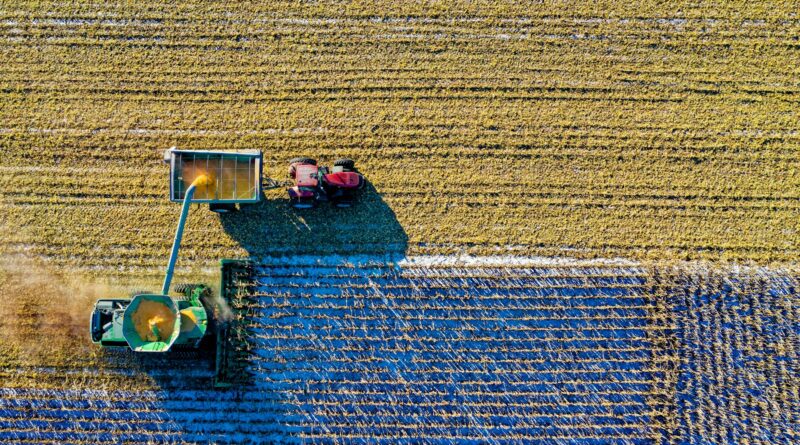 top view of green field