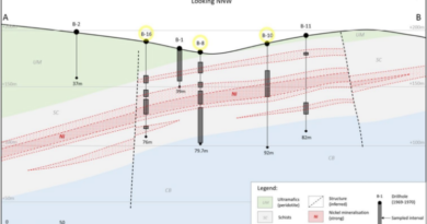 Đokić: Vlada podržala geološko istraživanje Yugo metals u opštini Petrovo