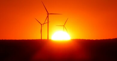 silhouette of wind turbines at sunset