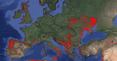 Požari u BiH uništili skoro 40.000 ha u 2025. godini, najveći u Trebinju