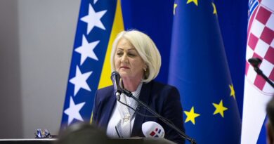 Krišto: Nastavlja se procedura potvrđivanja sporazuma o gasovodu Južna interkonekcija