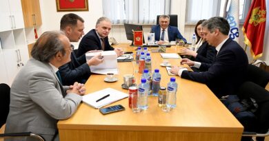 EPCG i EDF intenziviraju partnerstvo: HE Kruševo u fokusu strateških razgovora