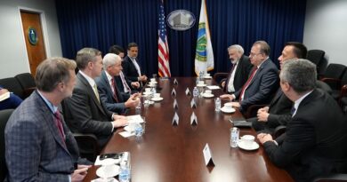 Južna interkonekcija i rješavanje pitanja državne imovine