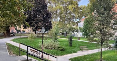 serene urban park in autumn season