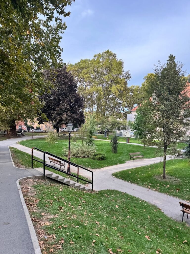 serene urban park in autumn season