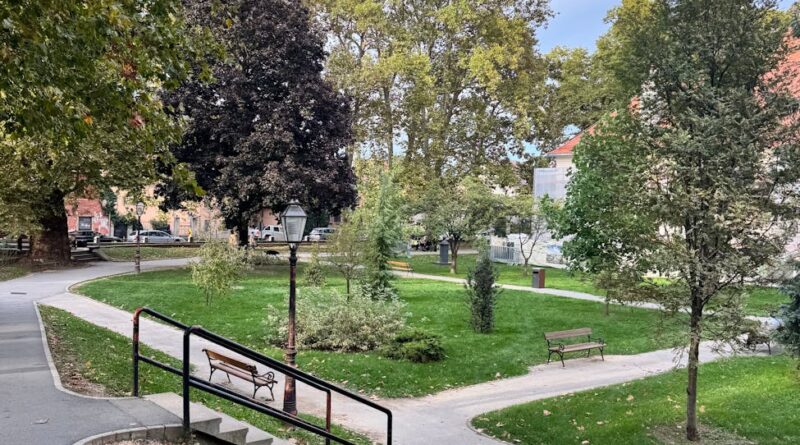 serene urban park in autumn season