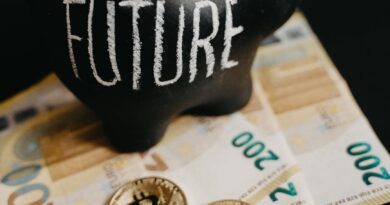 close up photo of black piggy bank on money