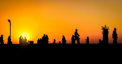 silhouettes against a vibrant sunset