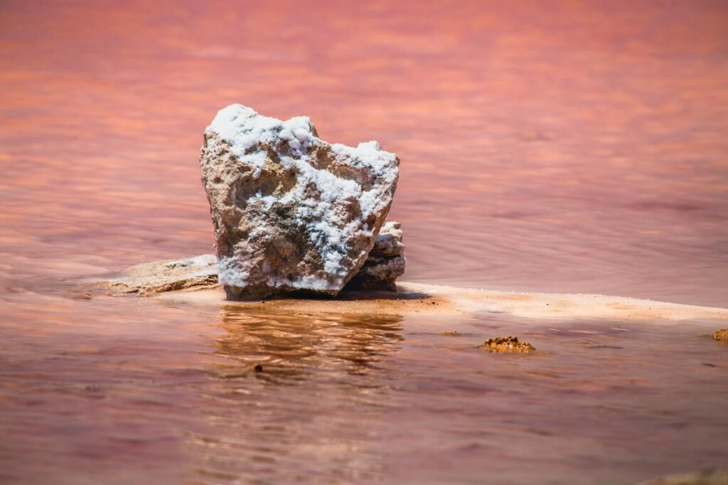 salt formation in pink waters of torrevieja