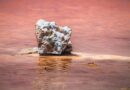 salt formation in pink waters of torrevieja