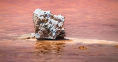 salt formation in pink waters of torrevieja